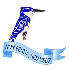 King Fisher crest